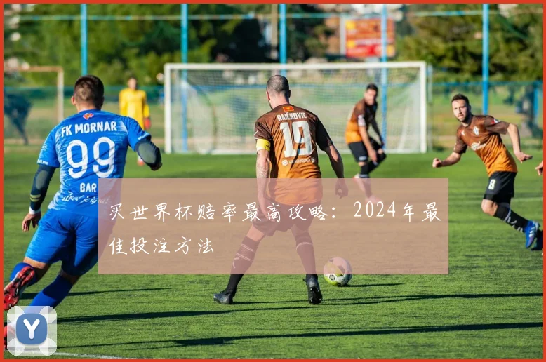 买世界杯赔率最高攻略:2024年最佳投注方法