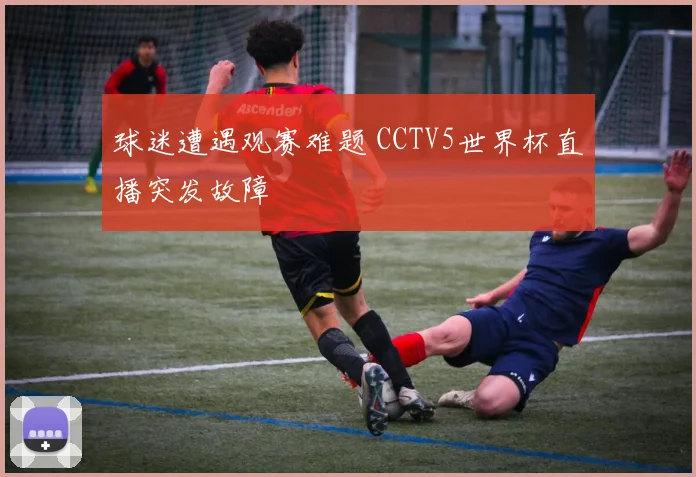 球迷遭遇观赛难题 CCTV5世界杯直播突发故障