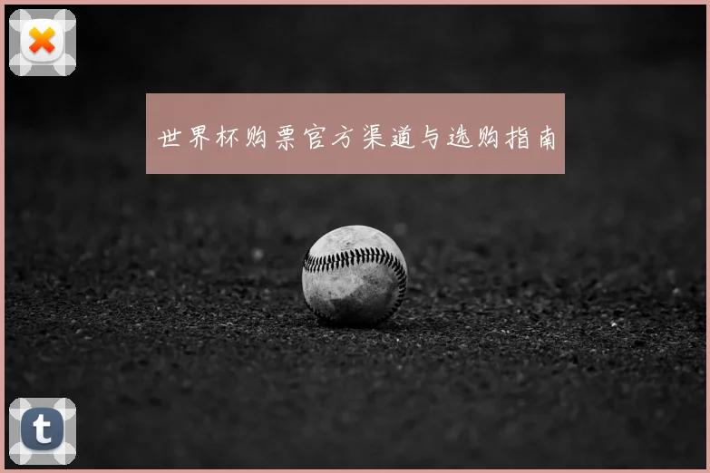 世界杯购票官方渠道与选购指南