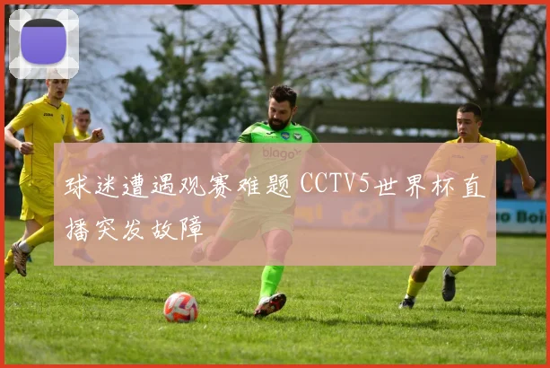 球迷遭遇观赛难题 CCTV5世界杯直播突发故障