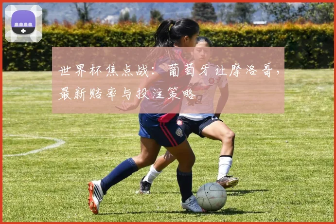 世界杯焦点战:葡萄牙让摩洛哥,最新赔率与投注策略
