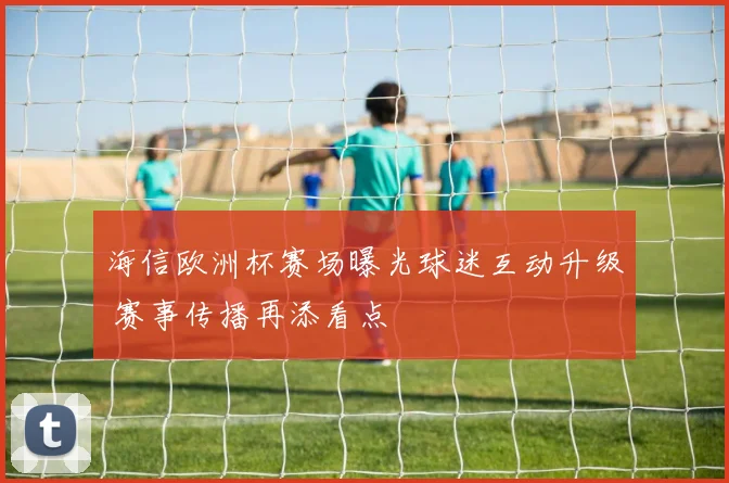 海信欧洲杯赛场曝光球迷互动升级 赛事传播再添看点