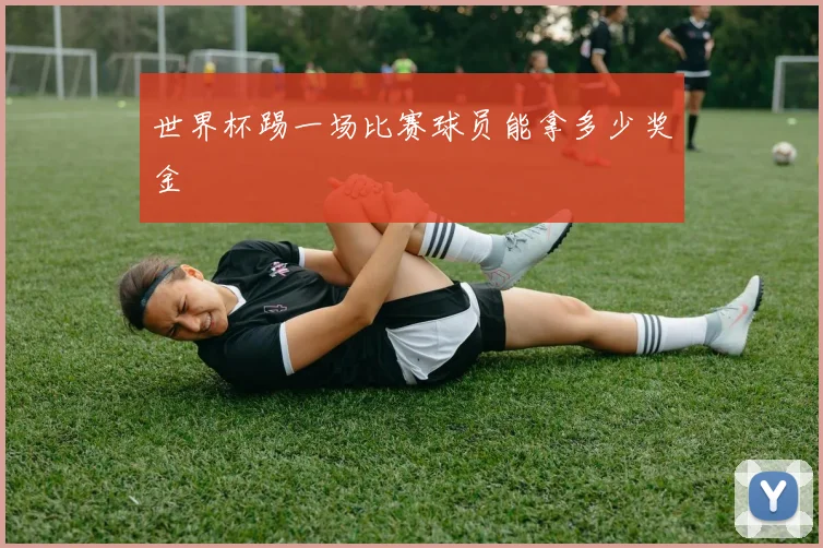 世界杯踢一场比赛球员能拿多少奖金