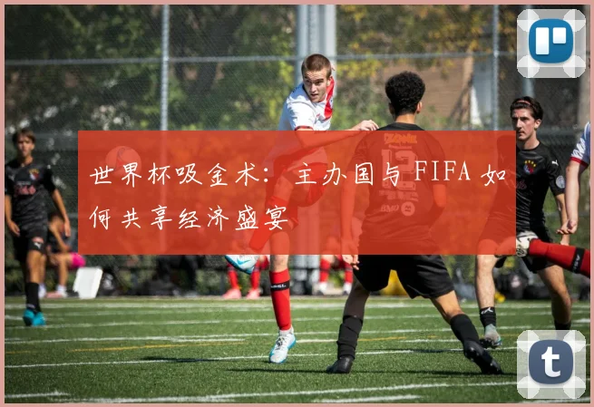 世界杯吸金术:主办国与 FIFA 如何共享经济盛宴