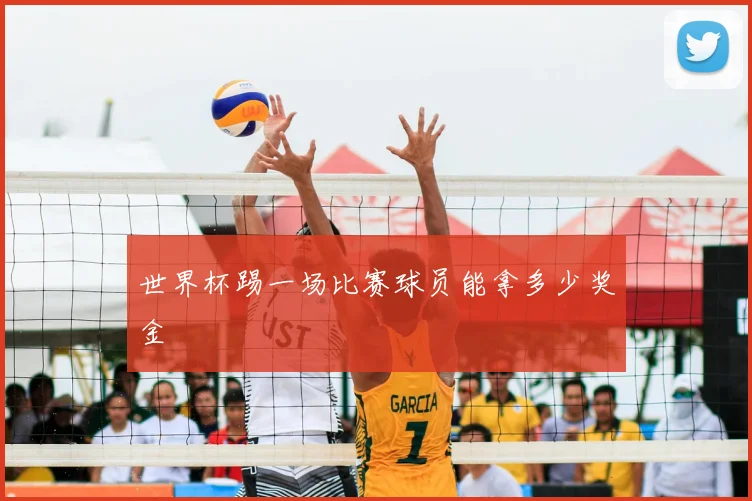 世界杯踢一场比赛球员能拿多少奖金